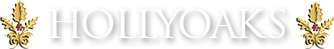 HollyOaks Logo